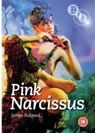 Pink Narcissus packshot