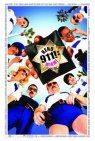 Reno 911!: Miami packshot
