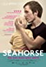 Seahorse packshot