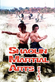 Shaolin Martial Arts packshot