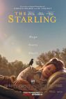 The Starling packshot