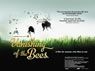The Vanishing Of The Bees packshot