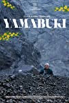 Yamabuki packshot